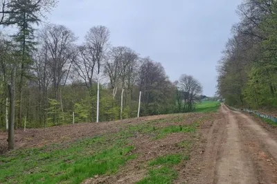 Es ist ein Feldweg am Waldrand zu sehen. Links des Feldweges ist eine Freifläche zu sehen, hinter der sich erneut Wald anschließt.