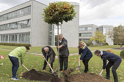 Menschen pflanzen einen Baum